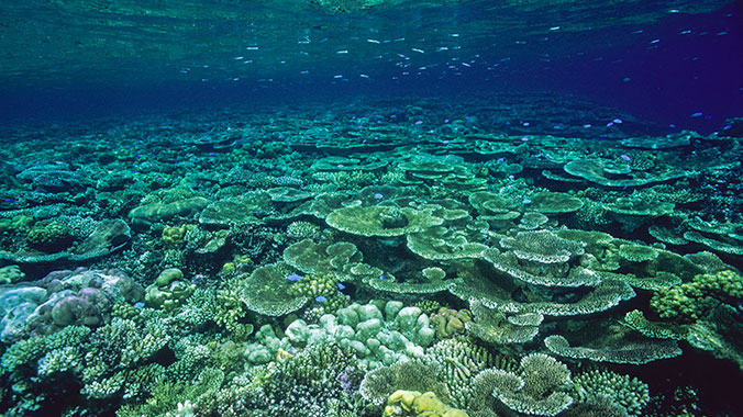 22754-Australia-Great-Barrier-Reef-lghoz.jpg