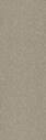 Desert Sand