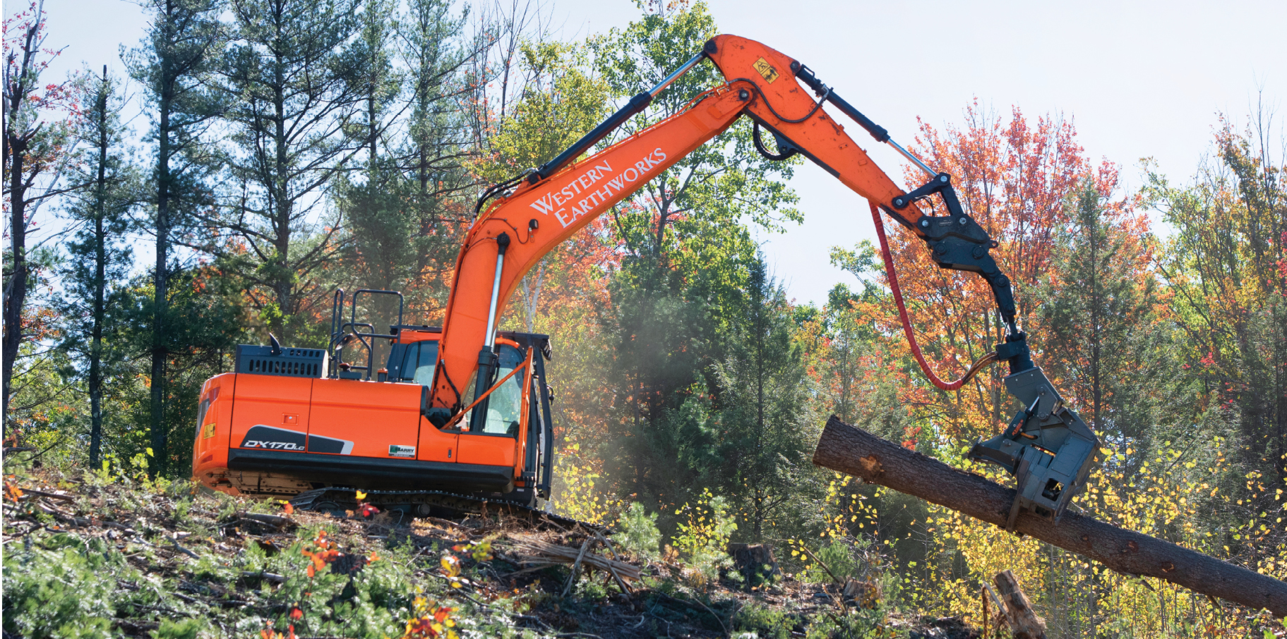 A DEVELON crawler excavator moving a tree on a timber job site.