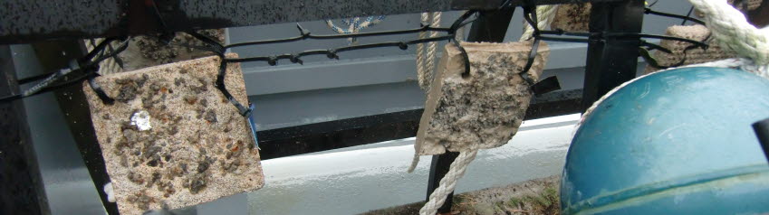 Iron scaffoldings with 15 by 15 centimetre plates with surfaces that are covered in different materials &ndash; including H&ouml;gan&auml;s&rsquo; slag