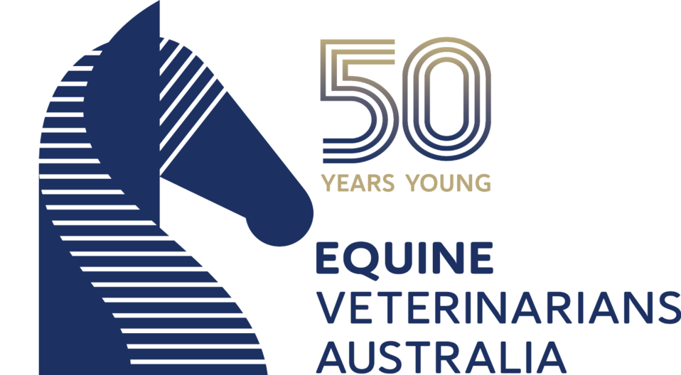 Bain Fallon 50 years young logo_no date v2.png