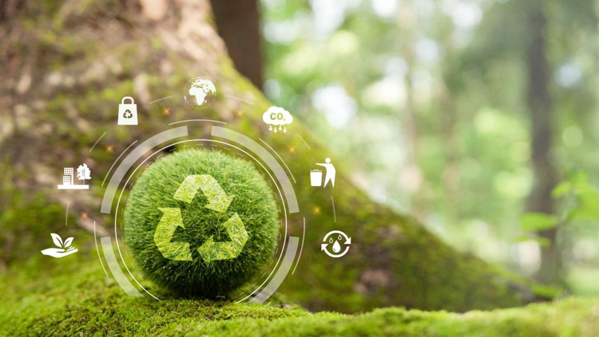Small Business And The Circular Economy: SMBs Are Key To a Sustainable Future