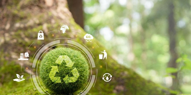 Small Business And The Circular Economy: SMBs Are Key To a Sustainable Future