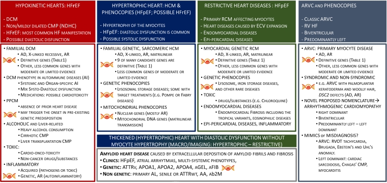 295_Arbustini_FIGURE 1_Hidden in heart failure.jpg