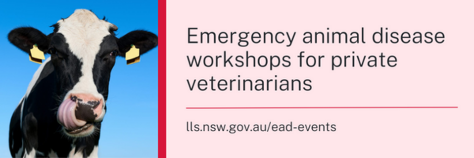 Banner - Emergency animal disease workshops for private veterinarians.png