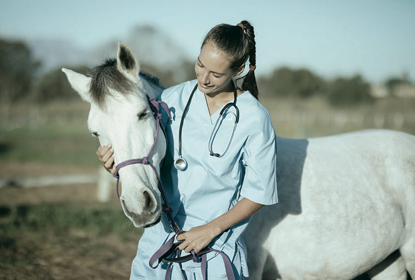 promotion block - veterianian - equine - horse - woman
