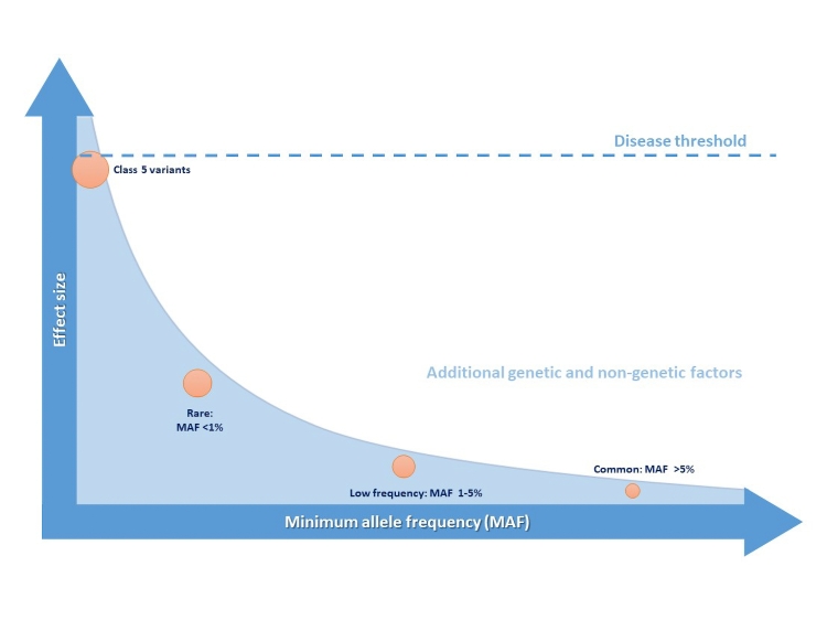304_Scrocco_Figure 1_The application of genomics in the arrhythmia clinic.jpg