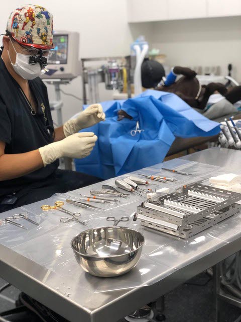 Veterinary dental specialist Dr Kevin Ng preparing for a dental procedure.jpg