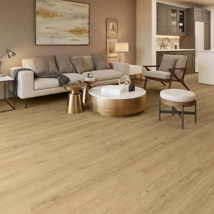 Archer 2.5 mm & 5.0 mm