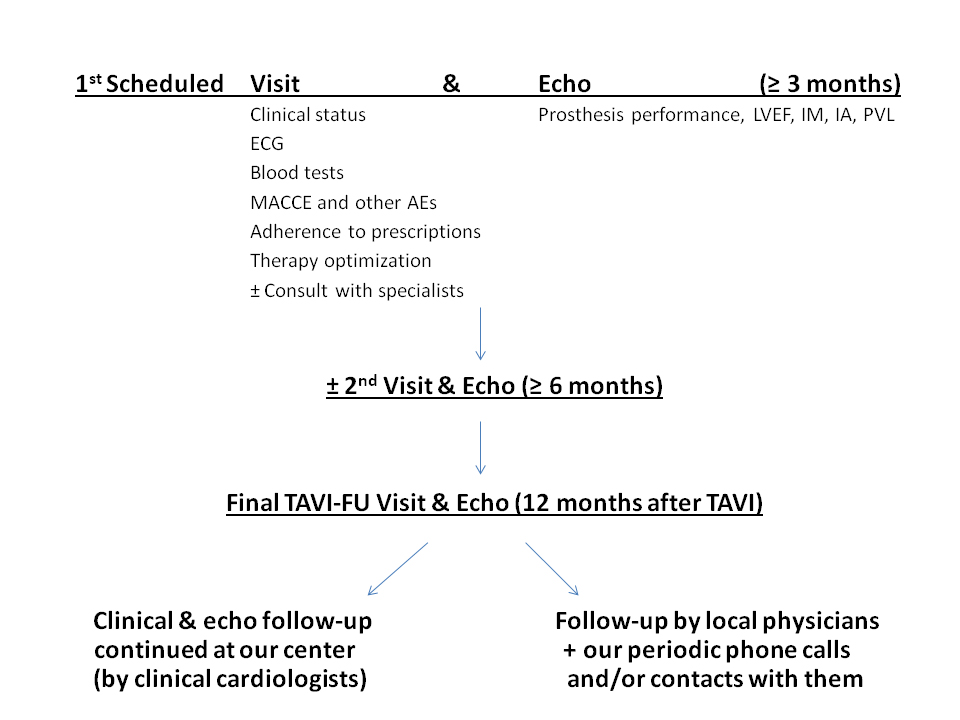 V14_07_Asteggiano_Figure 1-Follow-up management after transcatheter aortic valve implantation.jpg