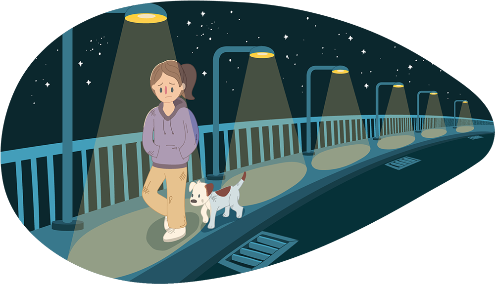 An illustration of a person walking along a footpath at night with a small dog on a lead, under streetlights beside a bridge, with stars visible in the sky.