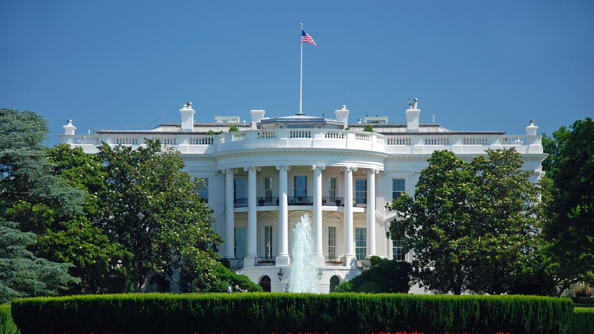 The White House in Washington DC