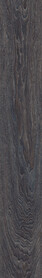 Galleon Oak