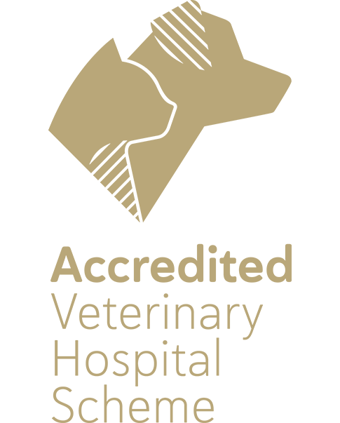 ASAVA - AVHS - Accredited Veterinary Hospital Scheme - Logo - Stacked