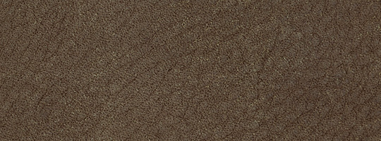 Product_BoundRug_Brown.jpg