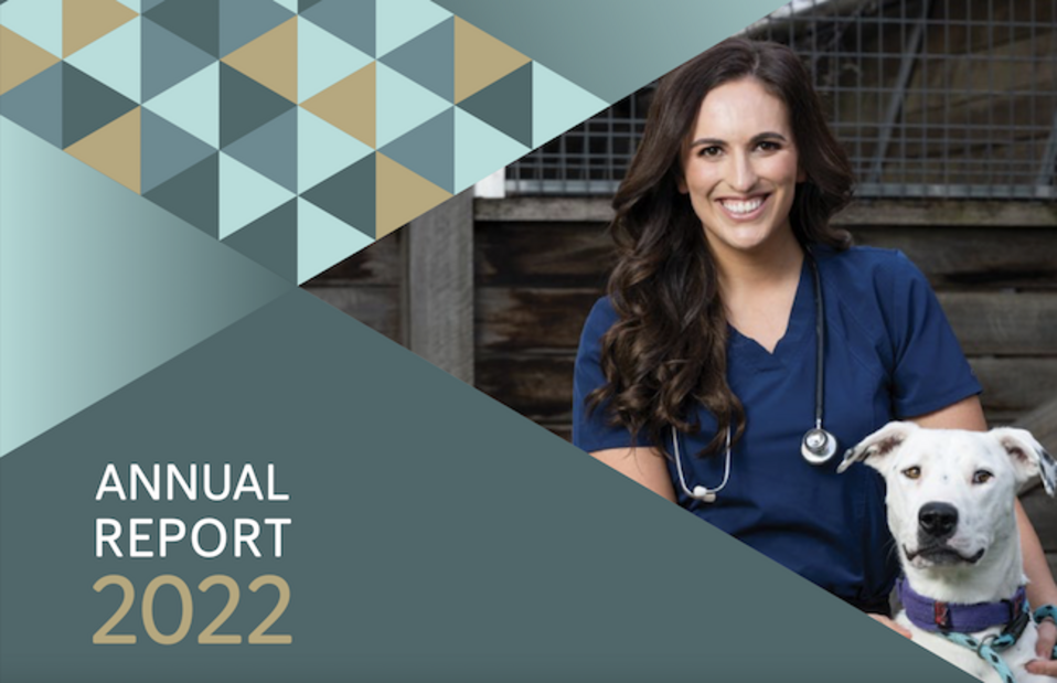 AVA Annual Report 2022.png