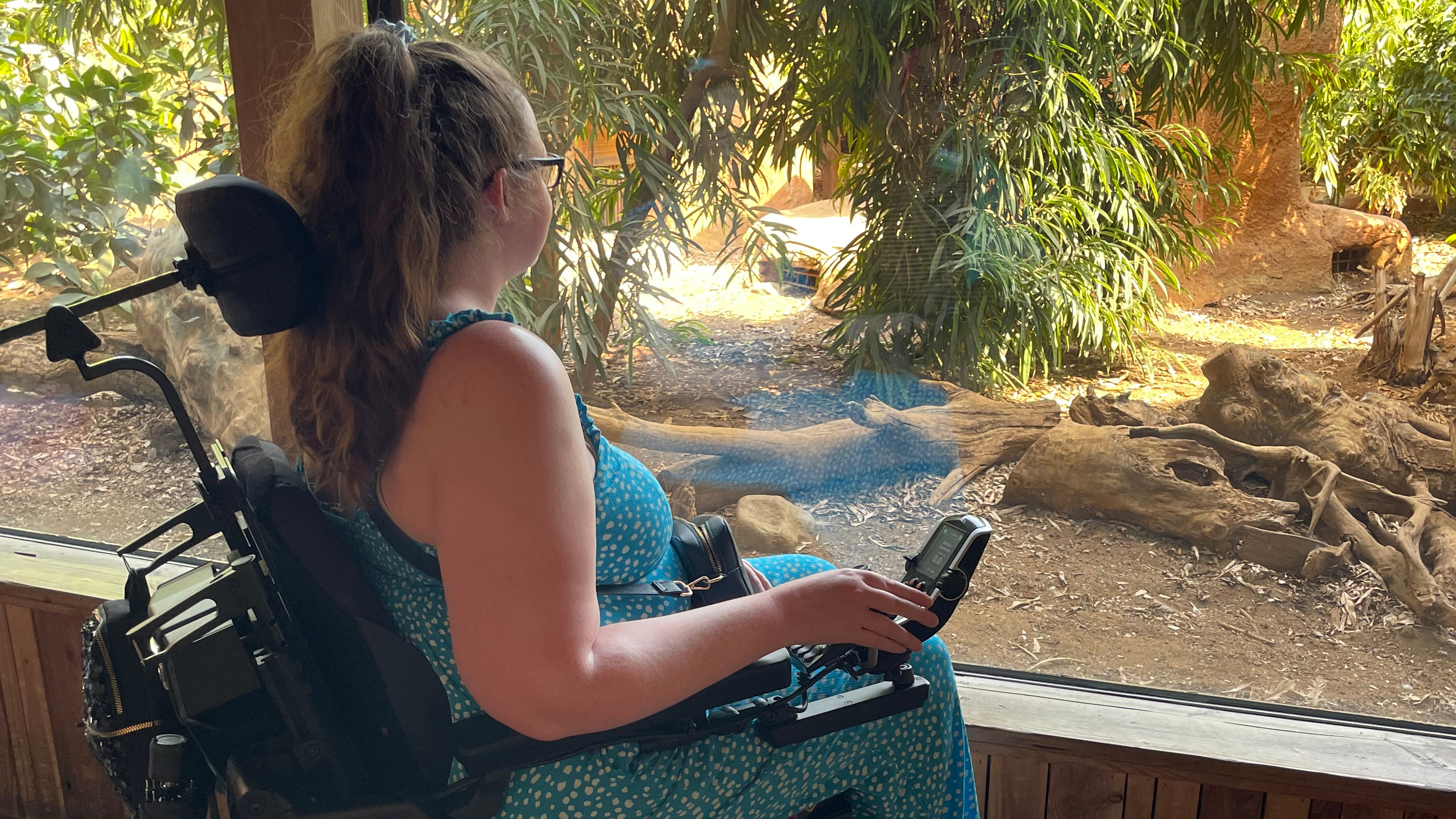 Shona Louise sits in a power wheelchair indoors, looking out through a large glass window at a zoo enclosure filled with trees, logs, and dappled sunlight. She wears a blue polka dot dress and has her hair tied back.