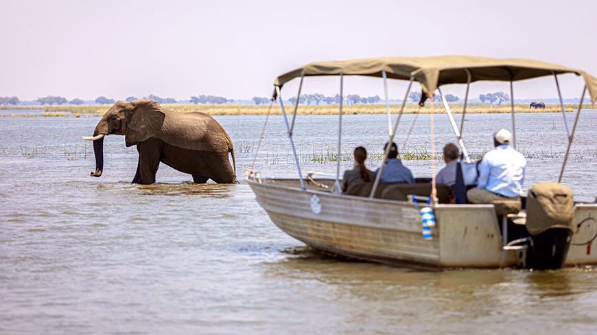 24830-ZM-royal_zambezi_boat_safari.jpg