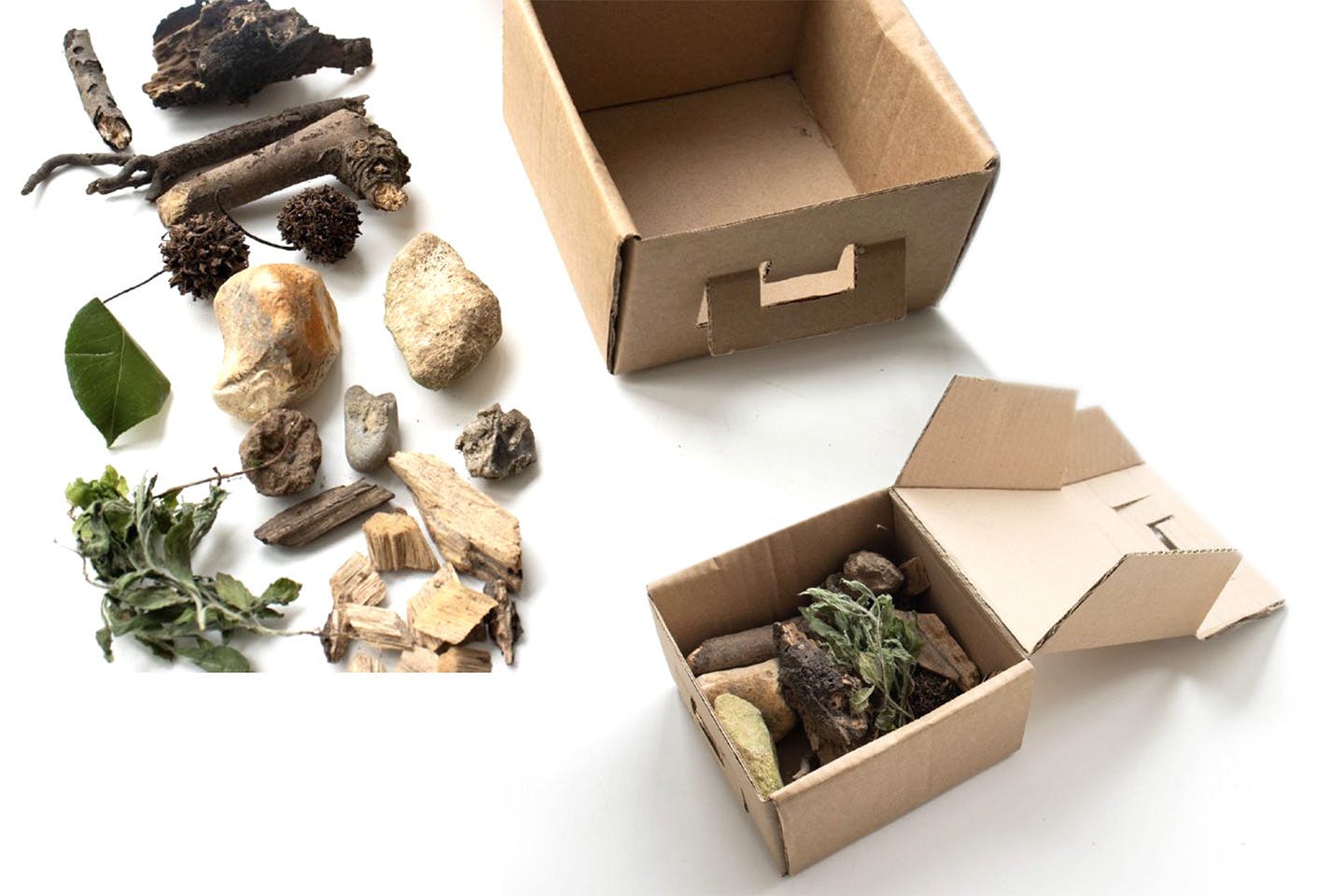 Left to right: a small box holding natural materials including leaves and rocks used for tactile engagement in a site-mediation tool for children; the contents displayed by the empty box.