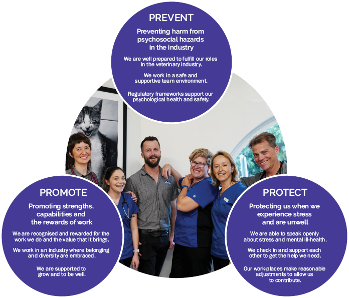 THRIVE mental health and suicide prevention framework