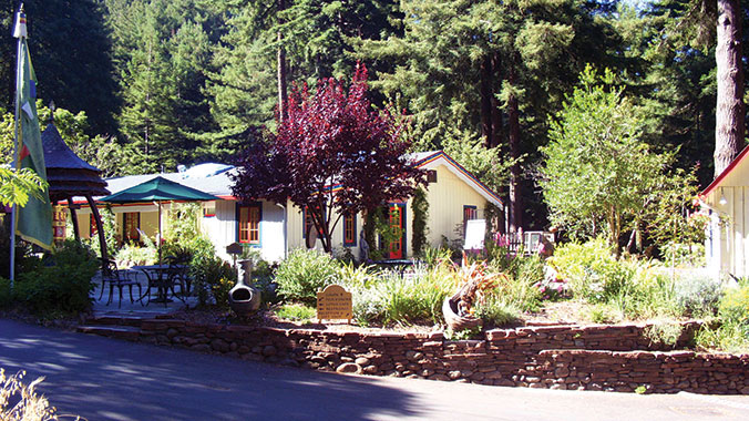 6734-santa-cruz-california-rejuvenation-retreat-for-women-lghoz.jpg