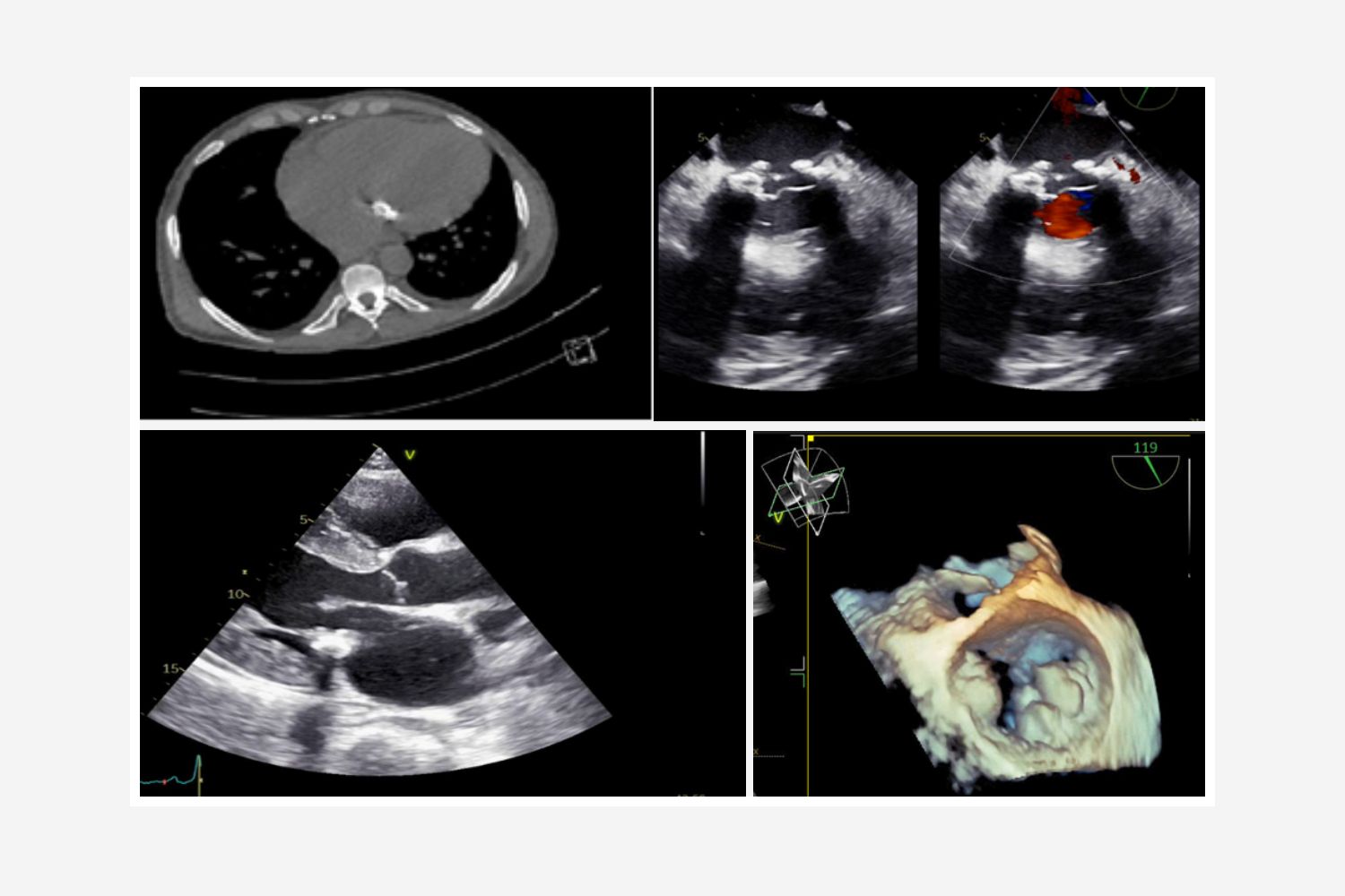 Image of the Week - 17 December 2025