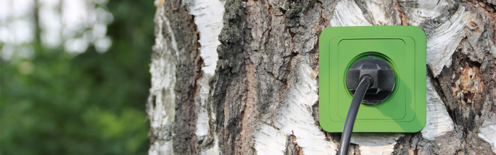 Climate neutral operations 