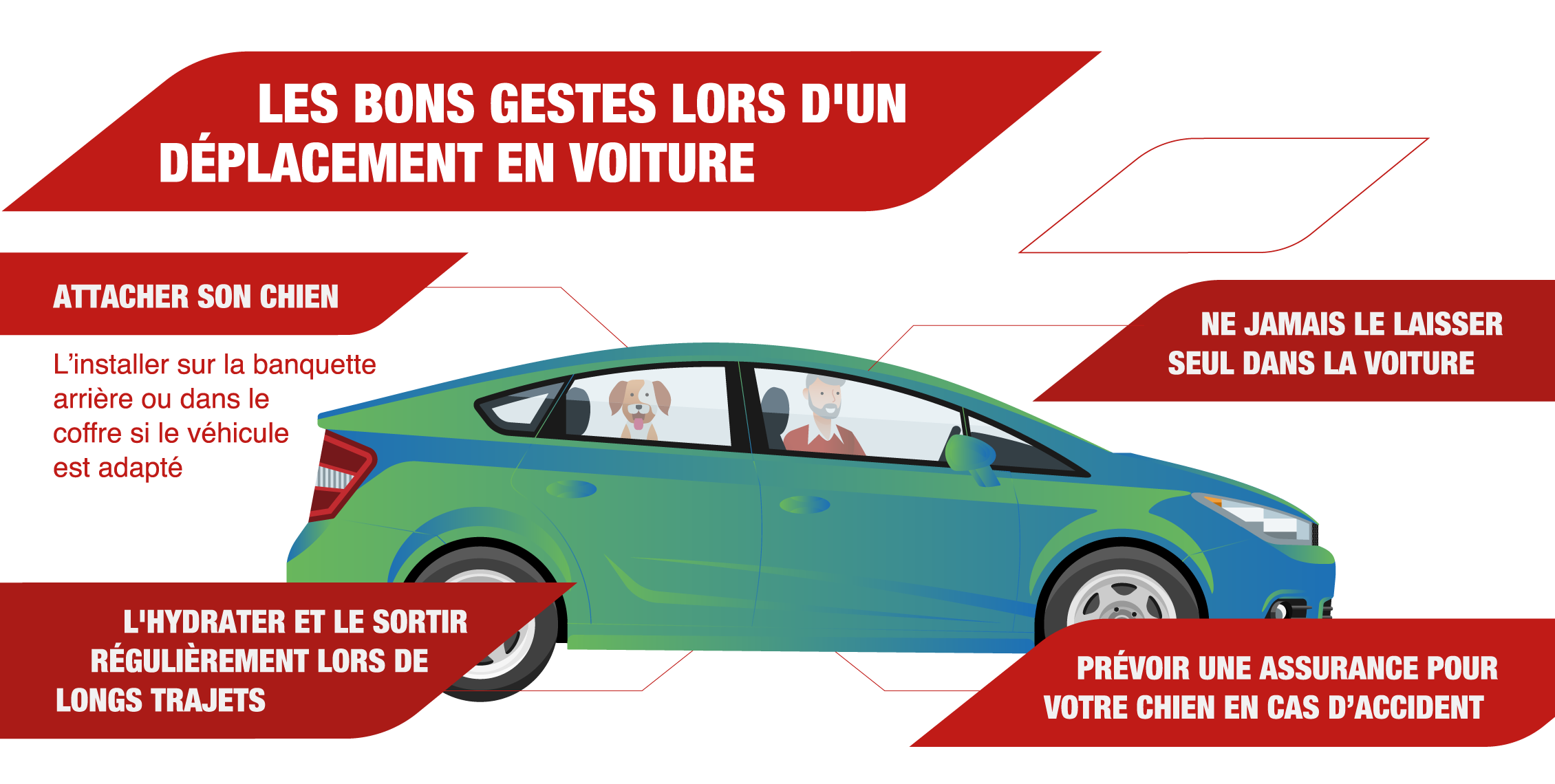 Les_bons_gestes_lors_dun_deplacement_en_voiture.png