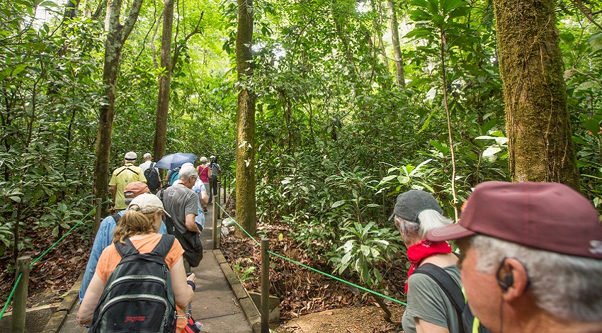 A group of Road Scholars follows a trail in a Costa Rican rainforest