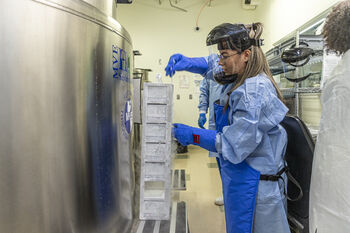 Dendritic cells, which boost immune responses, can be harvested from a patient and used to create a personalized vaccine. In the lab, the harvested cells are boosted into the billions. They are then separated into doses of about 100 to 200 million cells that can be frozen and preserved. The doses are thawed a few hours before the patient receives the injection.