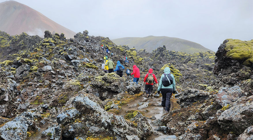 A group of hikers in colorful rain jackets ascend a rocky, moss-covered trail through a volcanic landscape in Iceland.