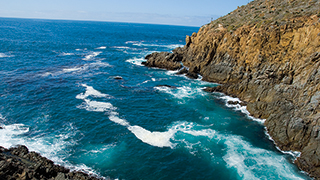 Mexico’s Baja Tip to Toe: Landscape, Heritage, People & Whales