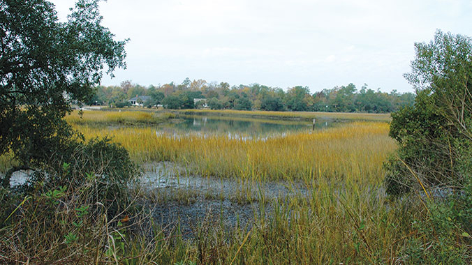 South Carolina kayaking the Lowcountry
