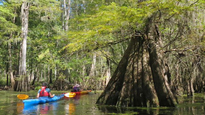 South Carolina kayaking the Lowcountry