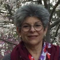Profile Image of Beth Newman