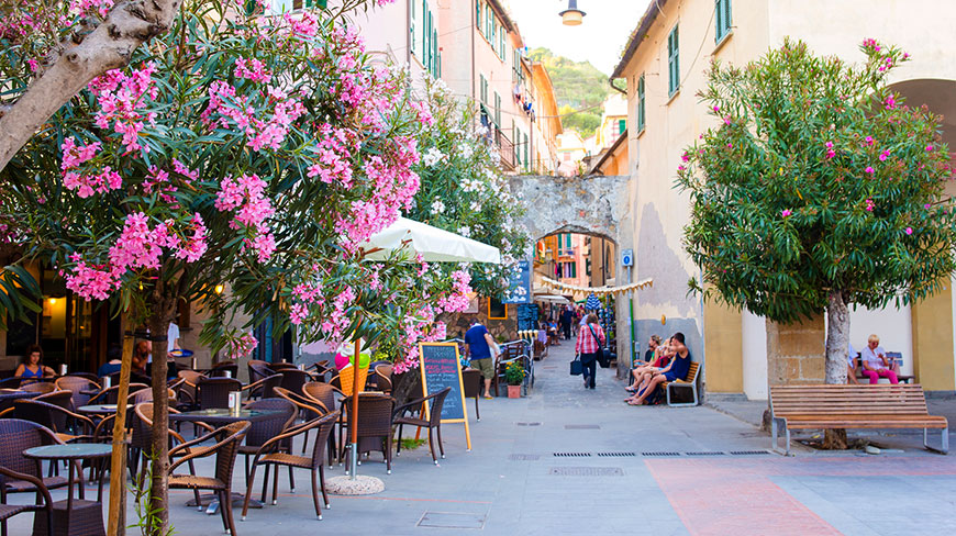 Flowering trees with bright pink blossoms line a narrow pedestrian street with outdoor cafes in Monterosso, Italy.
