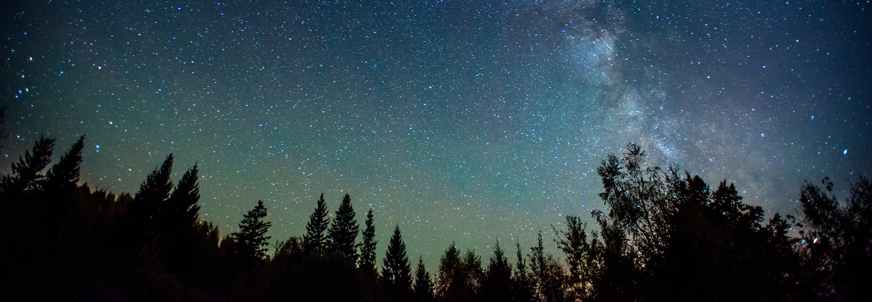 The starry night sky and Milky Way galaxy glow green and blue over a silhouette of a forest in Pennsylvania.