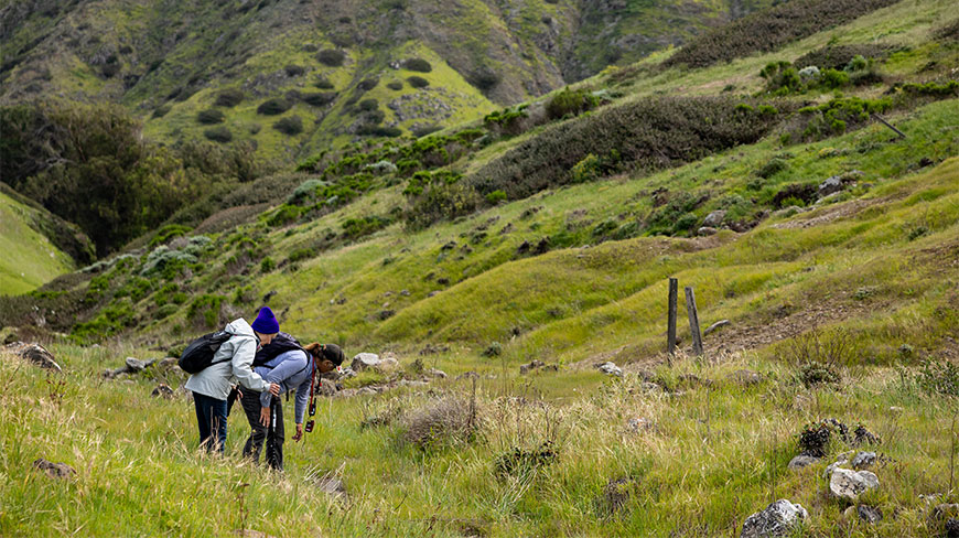 Two hikers explore the lush, green hills of Santa Cruz Island in California's Channel Islands National Park.