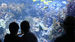 Amazing Animal Encounters in Oregon With Your Grandchild