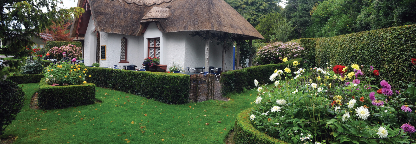 A quaint, white thatched-roof cottage in Ireland is surrounded by a lush garden with green hedges and colorful flowers.