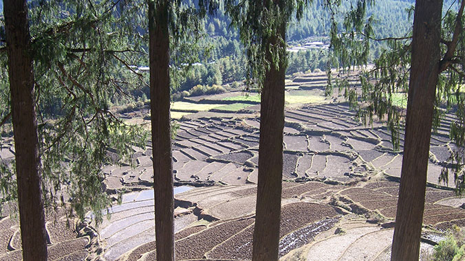 The Essence of Bhutan