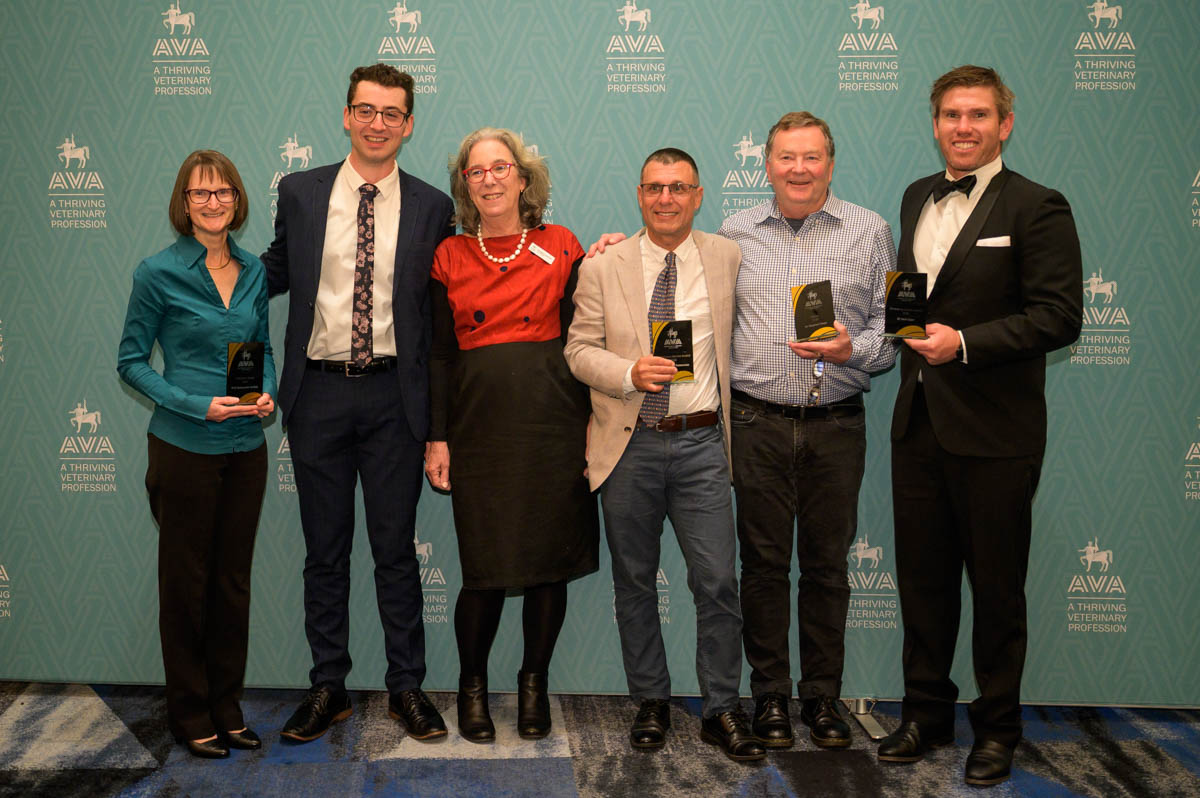 2025 AVA Award winners, AVA Gala Night