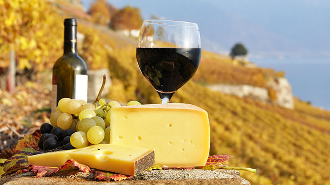 From Languedoc to Catalonia Through the Pyrenees: A Cross-Border Discovery