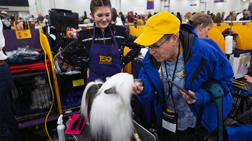 A woman interacts with a long-haired dog and its handler at the Westminster Kennel Club Dog Show in the Javits Center, New York.