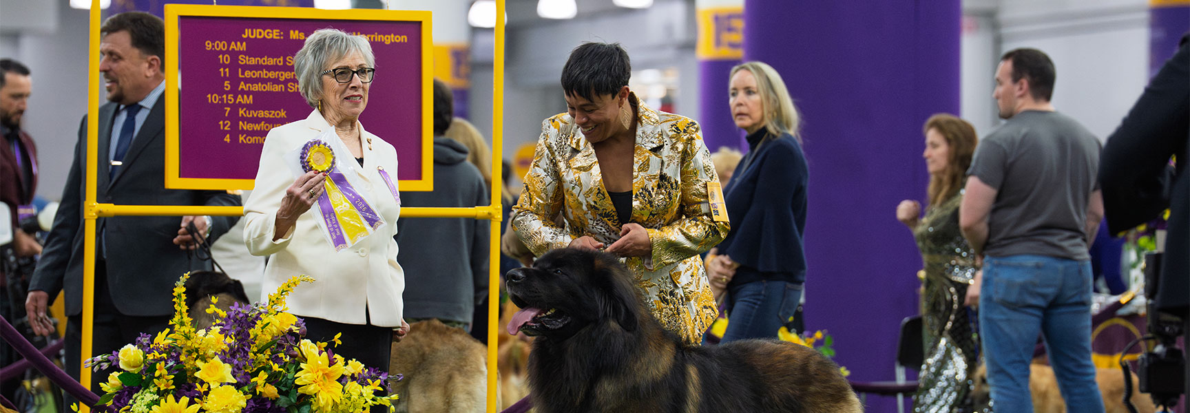 A judge and handler present a Leonberger dog winning Best of Breed at the Westminster Kennel Club Dog Show in New York's Javits Center.