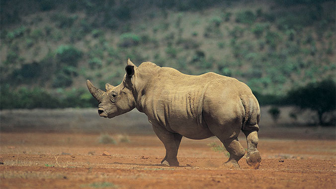 Best of South Africa