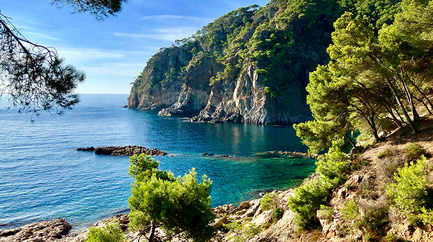 The sun shines on the rocky, pine-covered cliffs and turquoise sea of the Costa Brava coastline in Spain.