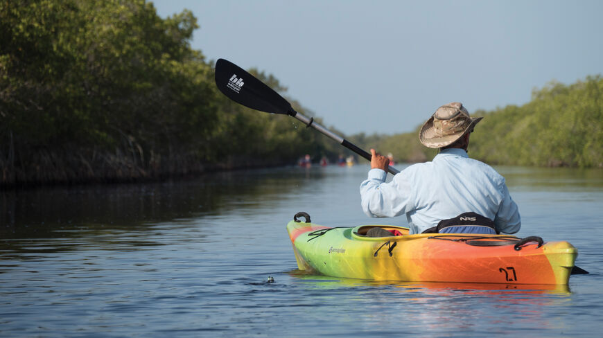 A person paddles a colorful kayak through calm Florida waterways lined with lush green mangroves.