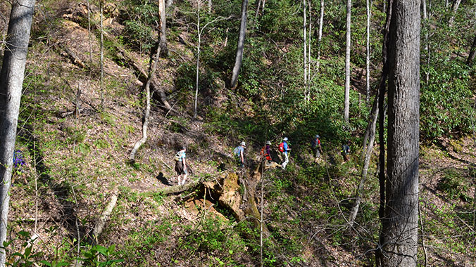 Hiking Southwest Virginia