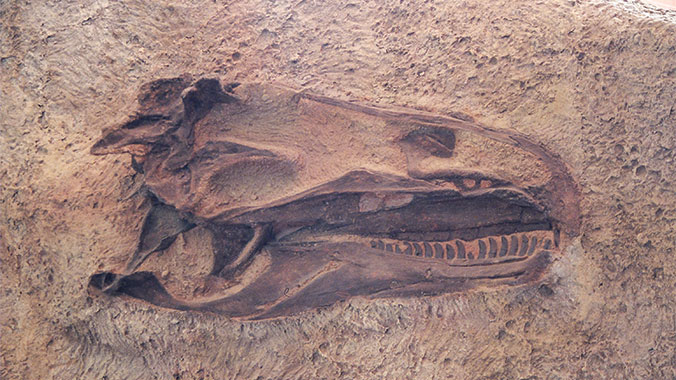 Colorado National Parks- Dinosaur Monument